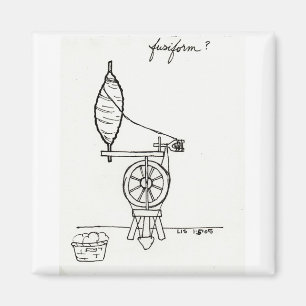 Imã Íman fusiforme