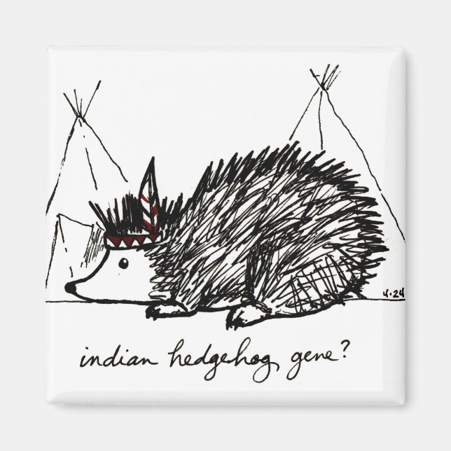 Imã Íman Gene Hedgehog Indiano (Frente)