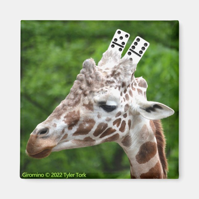 Imã Íman Giromino (Frente)