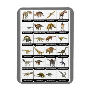 Ímã Íman Gráfico Dinossauros