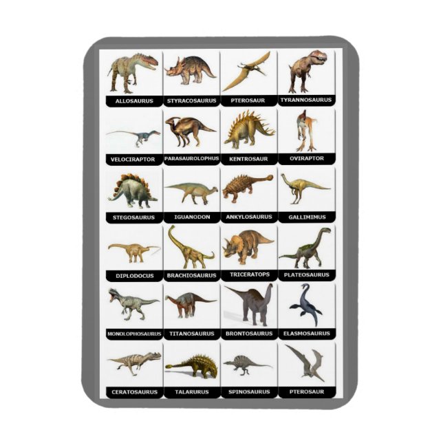 Ímã Íman Gráfico Dinossauros (Vertical)