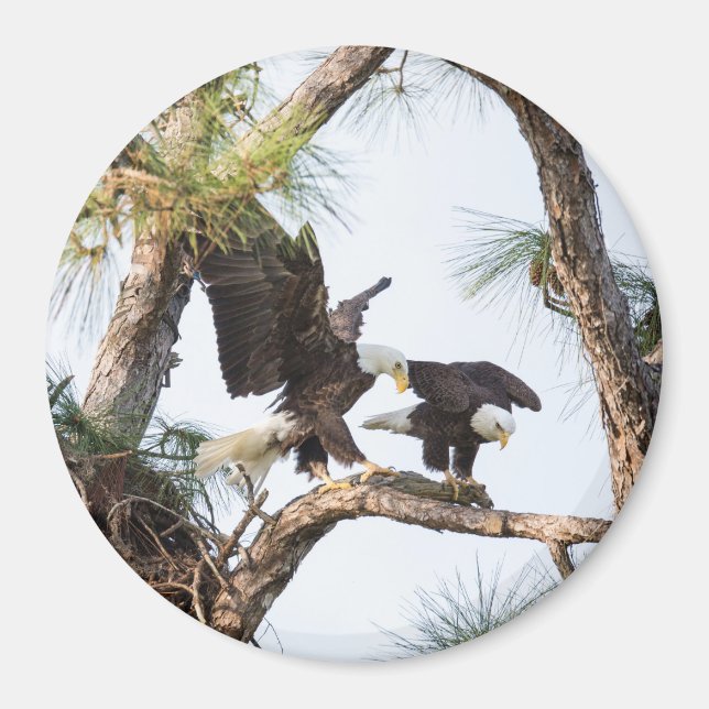 Imã Íman H & M (Frente)