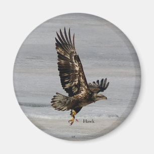Imã Íman Hawk