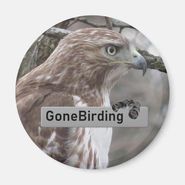 Imã Íman Hawk Birding de cauda vermelha (Frente)