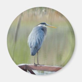 Imã íman herônico