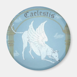 Imã Íman "Hound of Heaven" de Caelestis