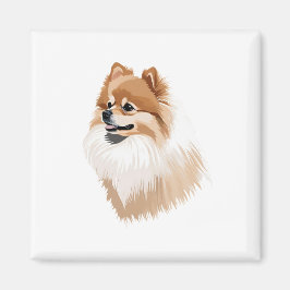Imã Imán ilustración perro pomerania