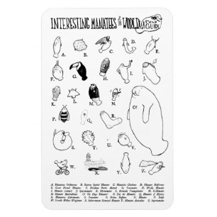 Ímã Íman interessante de Manatees