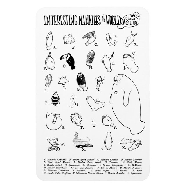 Ímã Íman interessante de Manatees (Vertical)