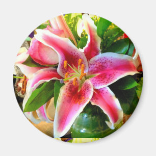 Imã íman lírio cor-de-rosa