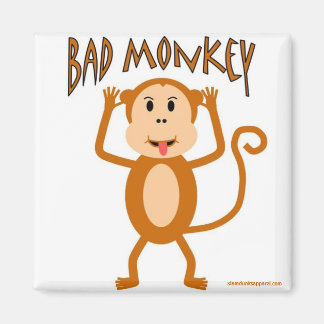 Imã Íman Macaco Mau