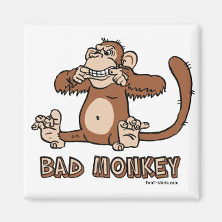Imã Íman Macaco Mau