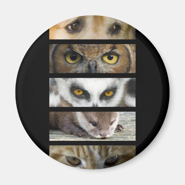 Imã Íman - Olhos Animais (Frente)