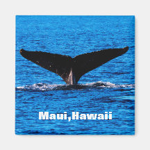 Íman personalizado Maui Humpback Whale