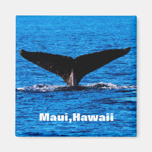 Imã Íman personalizado Maui Humpback Whale