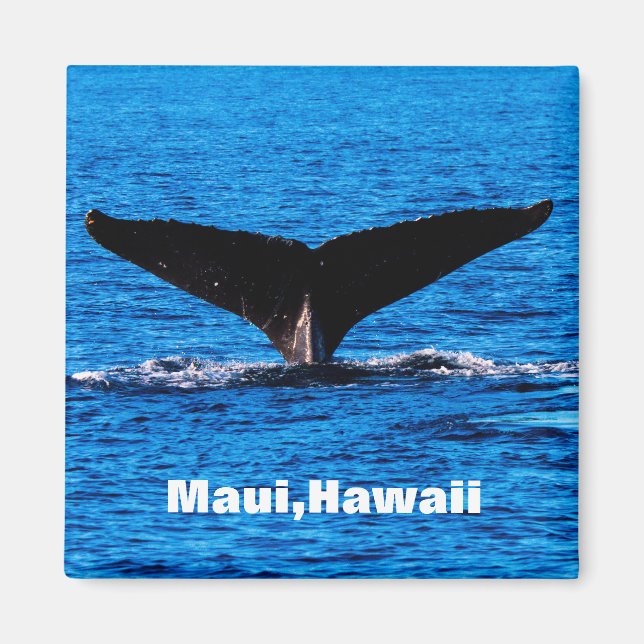 Imã Íman personalizado Maui Humpback Whale (Frente)