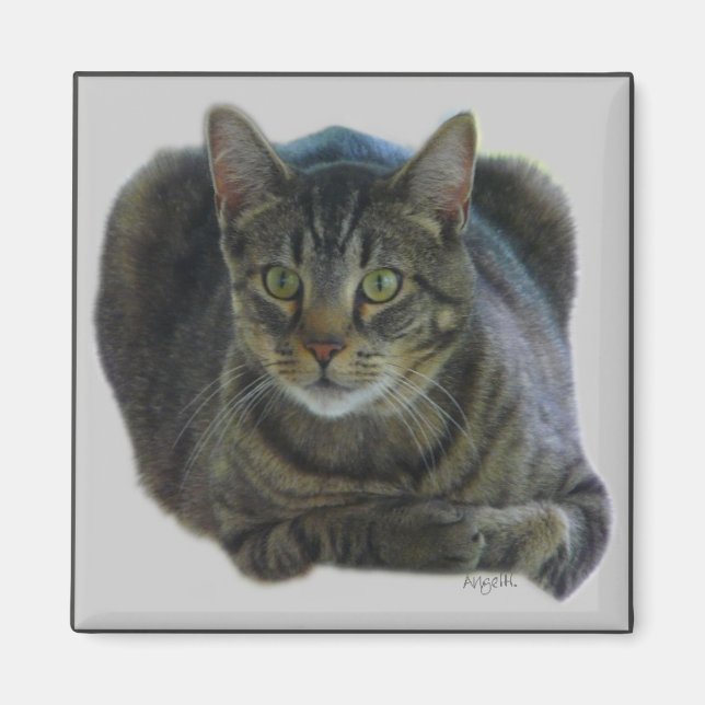 Imã Íman puro (Frente)