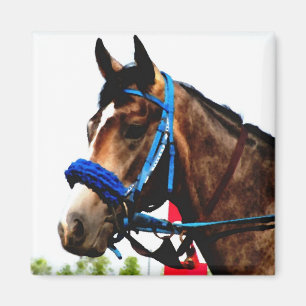 Imã Íman Race Horse