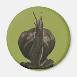 Imã Íman Redondo De Desenho De Pastas De Caracol