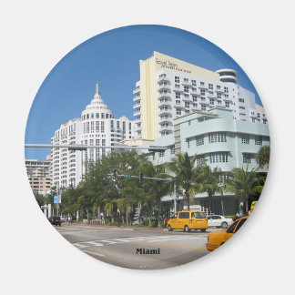 Imã Íman refrigerador Miami Cityscape