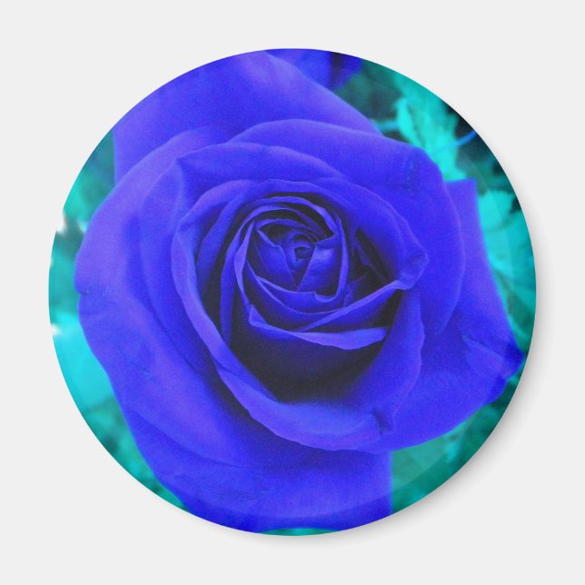 Imã Íman Rosa azul de apphire (Frente)