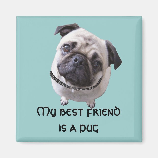 Imã Íman “Surrupias " (Frente)