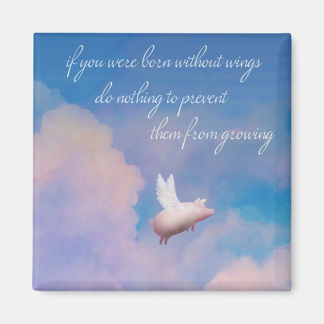 Imã íman voador (Frente)