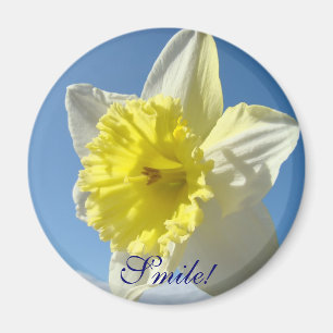 Imã ÍMANE SMILE! Presentes Narciso Amarelo ímã de flor