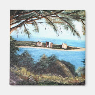 Imã ímanes artísticos