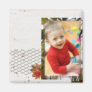 Imã Ímanes de fotos