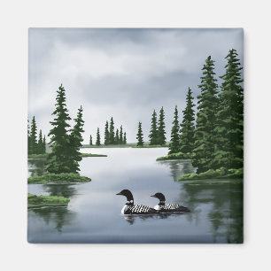 Imã Ímanes solitários