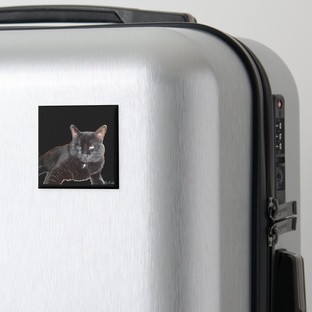 Imã Ímãs (In Situ (Luggage))