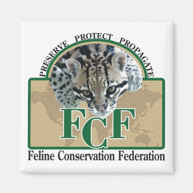 Imã Ímãs (Frente)