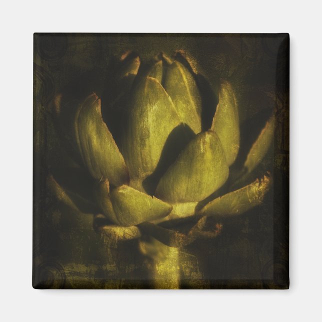 Imã Ímãs (Frente)