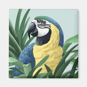 Imã Ímãs azuis do Macaw