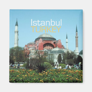 Imã Ímãs da lembrança da foto do viagem de Istambul