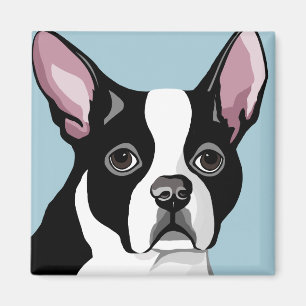 Imã Ímãs de Boston Terrier