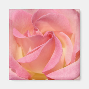 Imã Ímãs de Flor de Rosa Cor-de-Rosa Espiral Presentes
