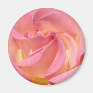 Imã Ímãs de Flor de Rosa Rosa presentes Personalizados