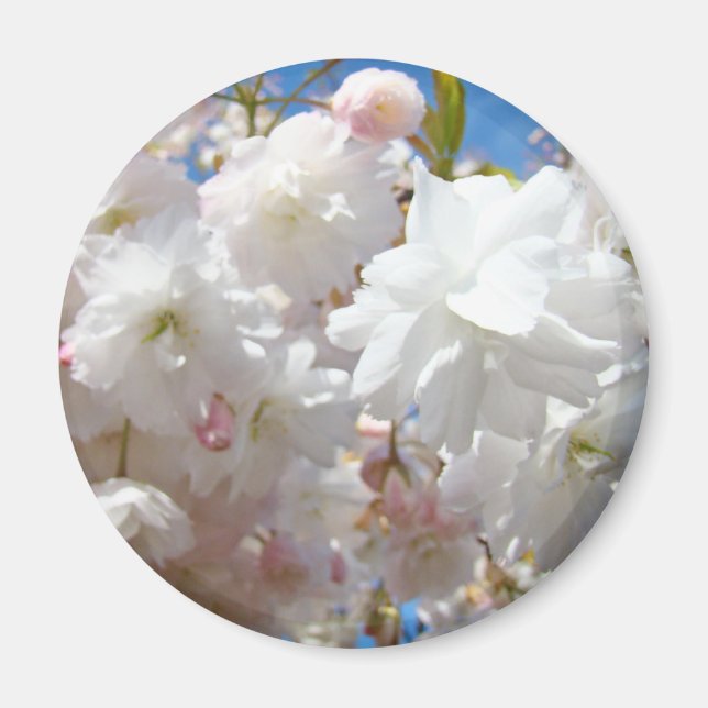 Imã Ímãs de flores da primavera personalizados (Frente)