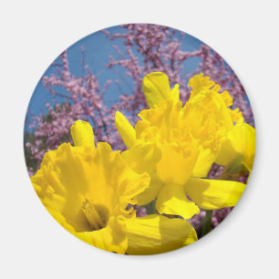 Imã Ímãs de Flores de Narciso da Primavera Flores Rosa
