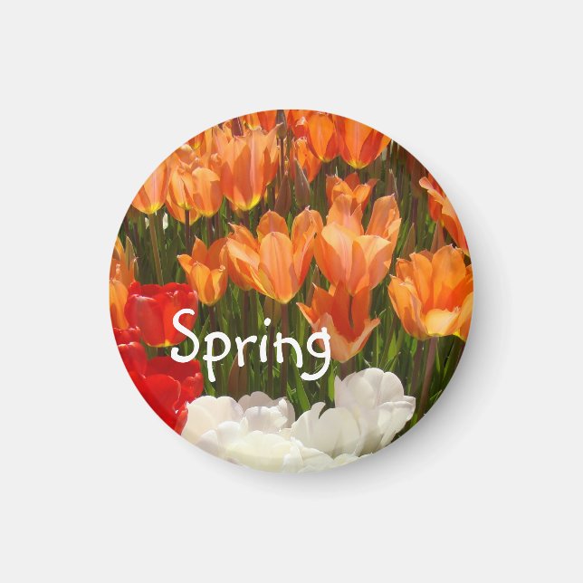 Imã Ímãs de Flores de Tulipa da Primavera Tulipas Lara (Frente)