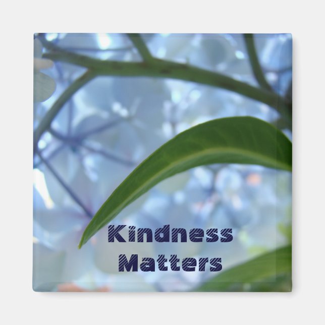 Imã Ímãs de Flores Hortênsias Azuis Kindness Matters (Frente)