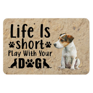 Ímã Imãs de geladeira