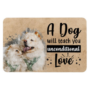 Ímã Imãs de geladeira