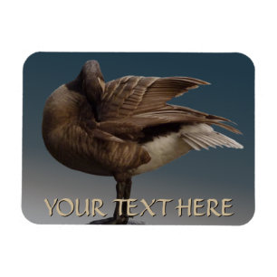 Ímã Imãs de geladeira de Souvenir no Canadá do Magne