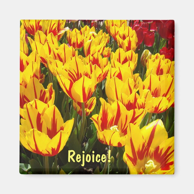Imã Ímãs de Páscoa Tulipas flores ímã Alegrai-vos (Frente)
