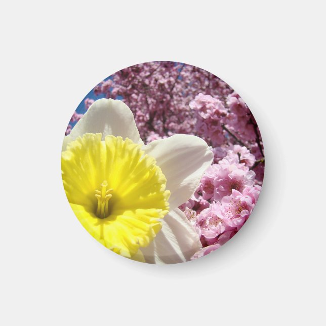 Imã Ímãs de primavera Narcisos amarelos Flores cor-de- (Frente)