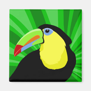 Imã Ímãs de Toucan
