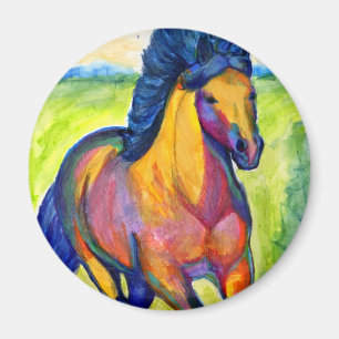 Imã Ímãs do cavalo da cor de água